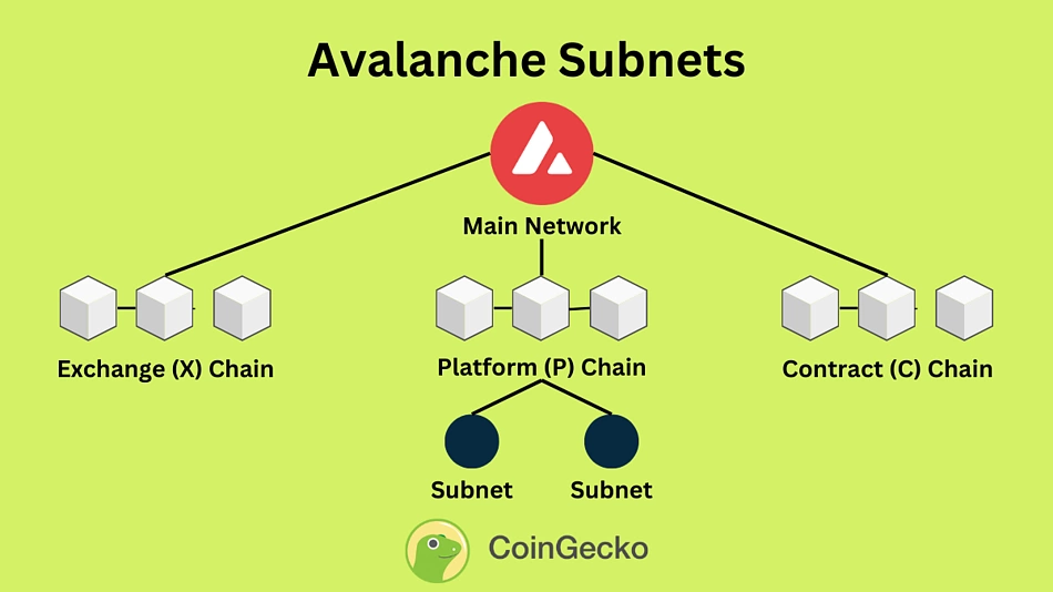 appchain development speed